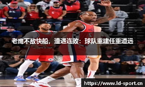 ld乐动体育