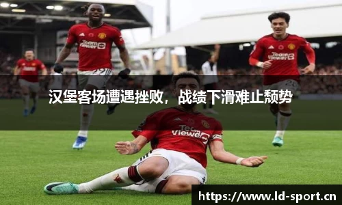 ld乐动体育平台