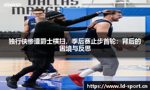 ld乐动体育