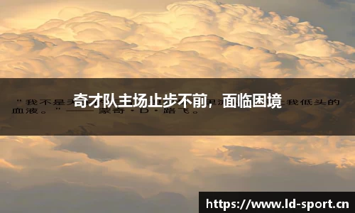 ld乐动体育
