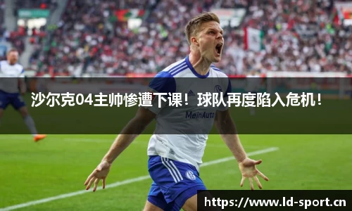 ld乐动体育
