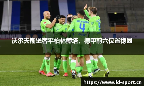 ld乐动体育官网
