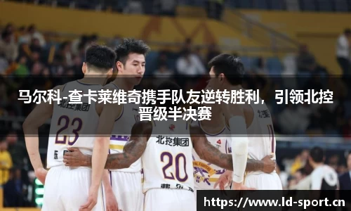 ld乐动体育