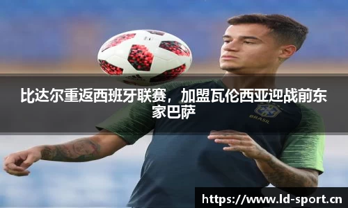 ld乐动体育