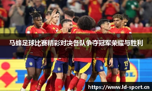 ld乐动体育