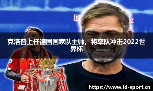 ld乐动体育平台