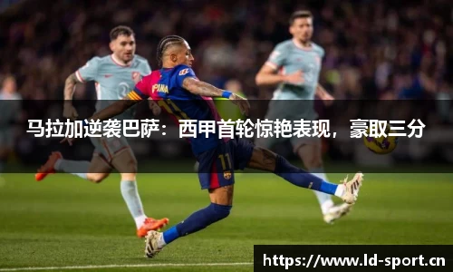 ld乐动体育
