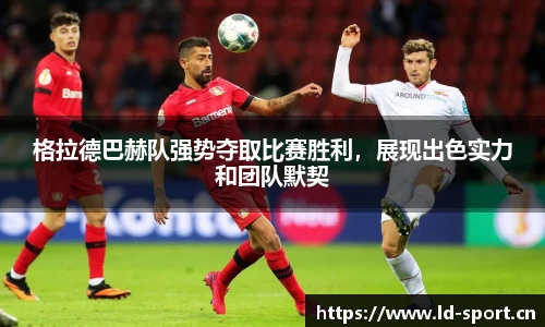 ld乐动体育平台