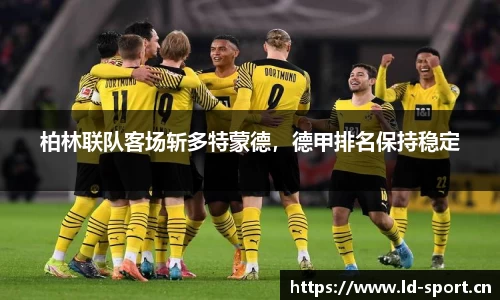ld乐动体育