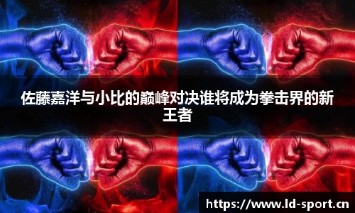 ld乐动体育官网