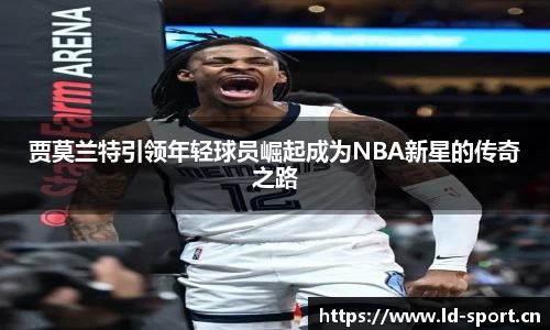 ld乐动体育官网