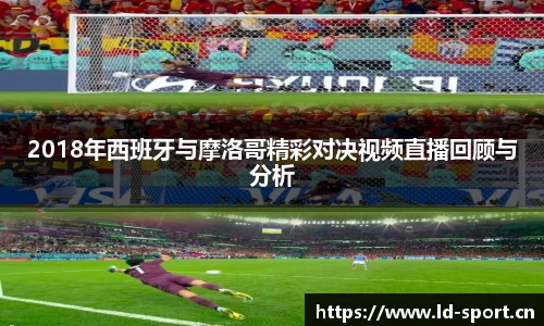 ld乐动体育