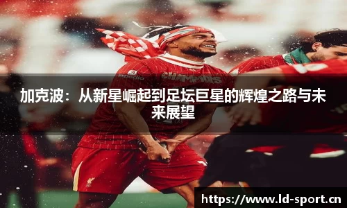 ld乐动体育官网