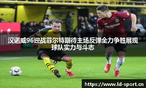 ld乐动体育