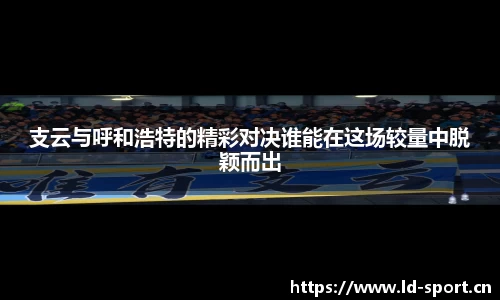 ld乐动体育官网