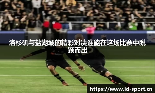 ld乐动体育