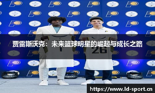 ld乐动体育