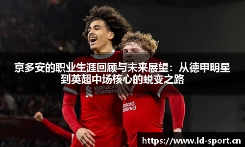 ld乐动体育官方网站