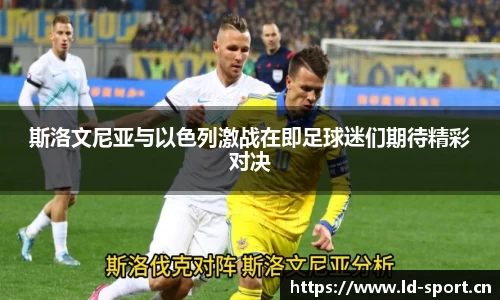 ld乐动体育