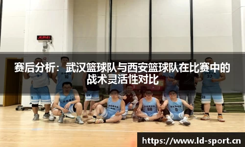ld乐动体育