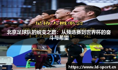 ld乐动体育平台