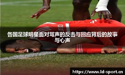 ld乐动体育平台